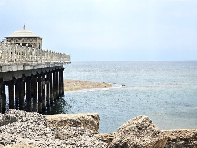 Satılır  torpaq 400 sot, Türkan q., photo 3 from 23