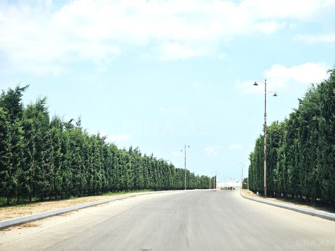 Satılır  torpaq 400 sot, Türkan q., photo 20 from 23