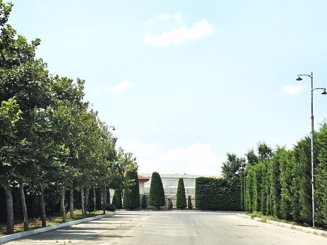 Satılır  torpaq 400 sot, Türkan q., photo 5 from 23