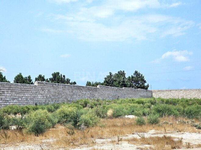 Satılır  torpaq 400 sot, Türkan q., photo 18 from 23