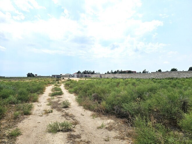 Satılır  torpaq 400 sot, Türkan q., photo 19 from 23