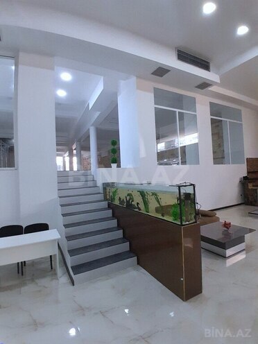 İcarəyə verilir  obyekt 320 m², 28 May m., photo 13 from 14