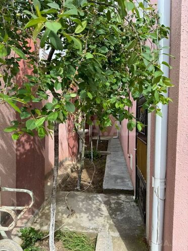 6 otaqlı həyət evi/bağ evi - Novxanı q. - 200 m² (21)
