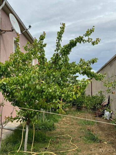 6 otaqlı həyət evi/bağ evi - Novxanı q. - 200 m² (26)