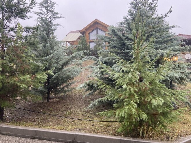 5-комн. дом/дача - Губа - 270 м² (24)