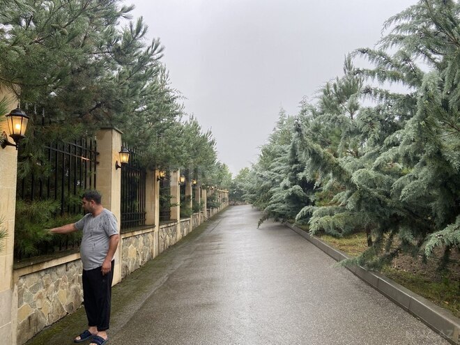 5-комн. дом/дача - Губа - 270 м² (25)