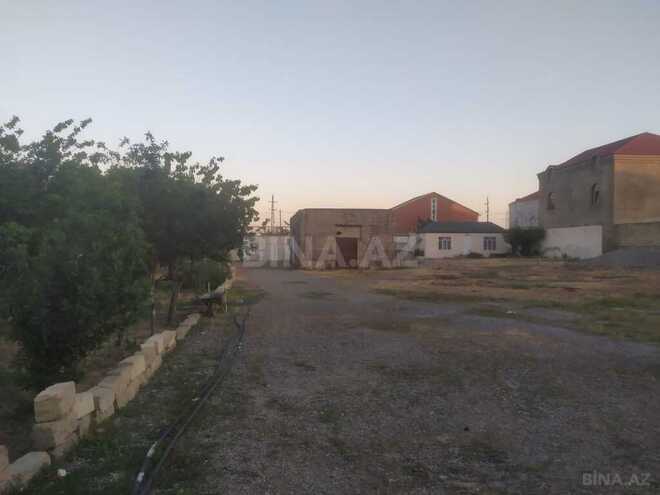 Продаётся  участок 500 сот, пос. Кобу, photo 6 from 7