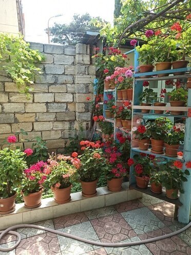 5 otaqlı köhnə tikili - Elmlər Akademiyası m. - 75 m² (9)