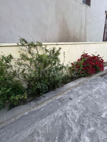 4 otaqlı həyət evi/bağ evi - Qaraçuxur q. - 200 m² (5)