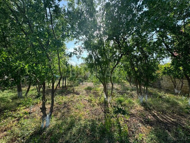 Satılır  torpaq 20 sot, Mərdəkan q., photo 3 from 8