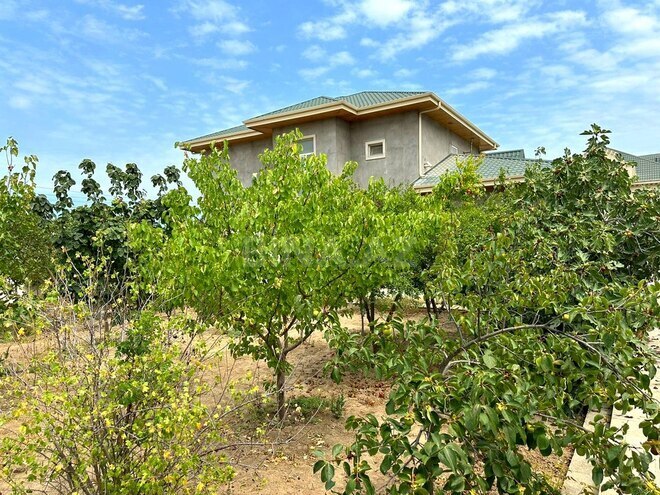 8 otaqlı həyət evi/bağ evi - Mərdəkan q. - 280 m² (7)