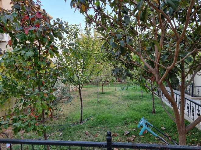 3 otaqlı həyət evi/bağ evi - Azadlıq Prospekti m. - 130 m² (18)