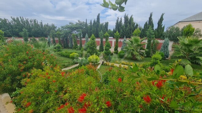 7 otaqlı həyət evi/bağ evi - Görədil q. - 420 m² (2)