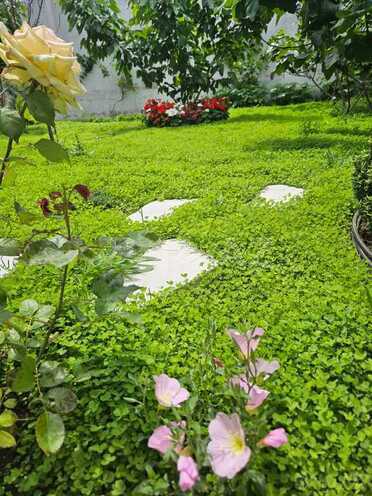 Сдаётся 4-комн. дом/дача 400 м², пос. Нардаран, photo 14 from 32