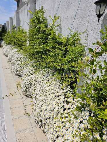 Сдаётся 4-комн. дом/дача 400 м², пос. Нардаран, photo 5 from 32