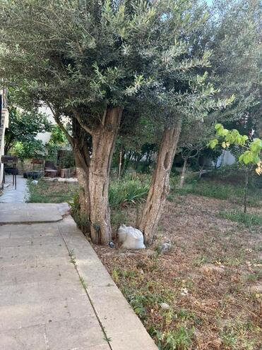 Satılır  torpaq 13 sot, Nəsimi m., photo 5 from 6