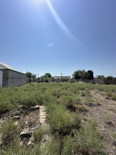 Сдаётся  участок 22 сот, пос. Гала, photo 10 from 18