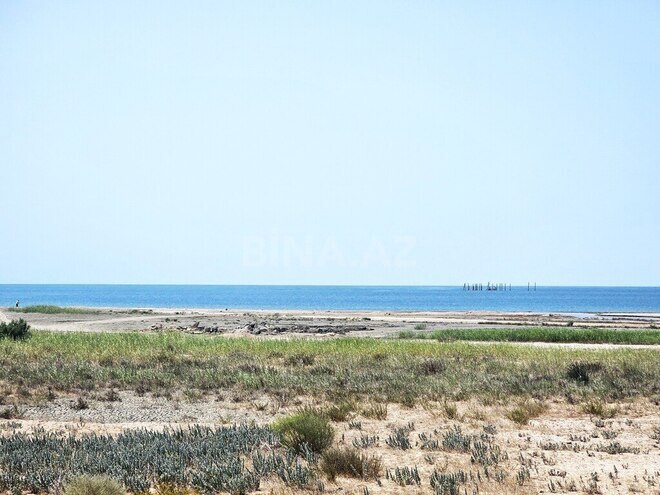 Продаётся  участок 8 000 сот, пос. Зире, photo 5 from 24