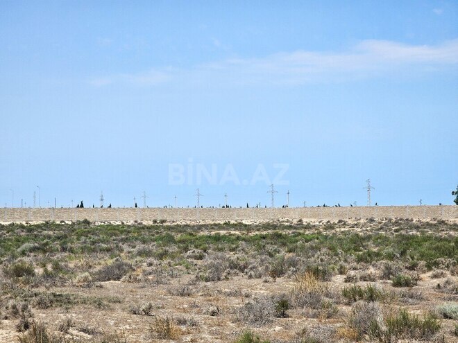 Продаётся  участок 8 000 сот, пос. Зире, photo 3 from 24