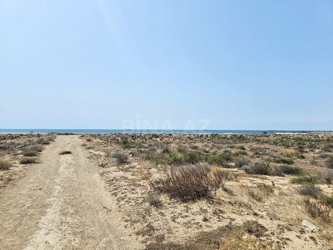 Продаётся  участок 8 000 сот, пос. Зире, photo 9 from 24