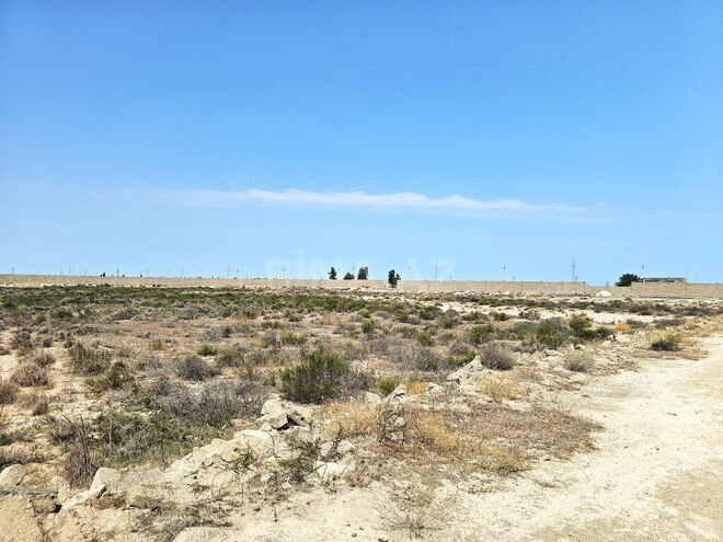 Продаётся  участок 8 000 сот, пос. Зире, photo 11 from 24