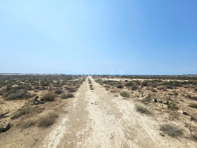 Продаётся  участок 8 000 сот, пос. Зире, photo 12 from 24