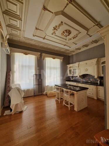 10 otaqlı həyət evi/bağ evi - Nəsimi m. - 500 m² (9)