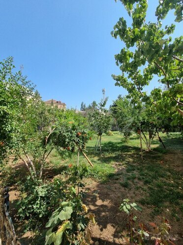 10 otaqlı həyət evi/bağ evi - Nəsimi m. - 500 m² (24)