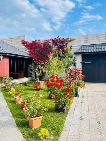 7 otaqlı həyət evi/bağ evi - Mərdəkan q. - 500 m² (5)