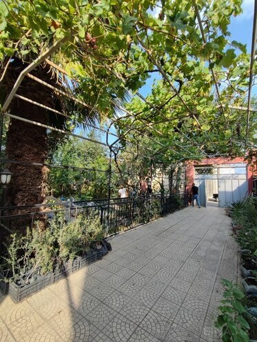 7 otaqlı həyət evi/bağ evi - Zığ q. - 240 m² (8)