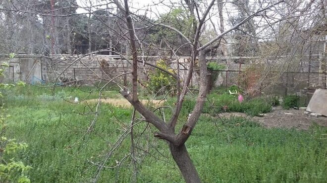 Продаётся  участок 12 сот, пос. Нардаран, photo 5 from 6