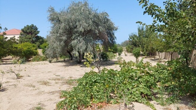 Продаётся 4-комн. дом/дача 300 м², пос. Пиршаги, photo 5 from 14