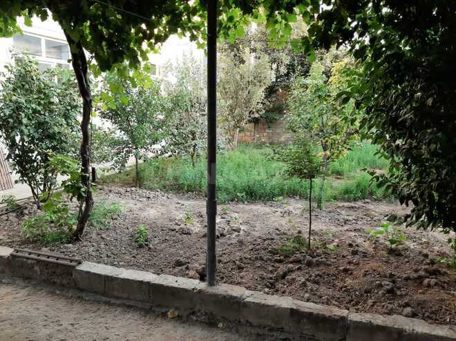 7 otaqlı həyət evi/bağ evi - Əhmədli m. - 350 m² (2)