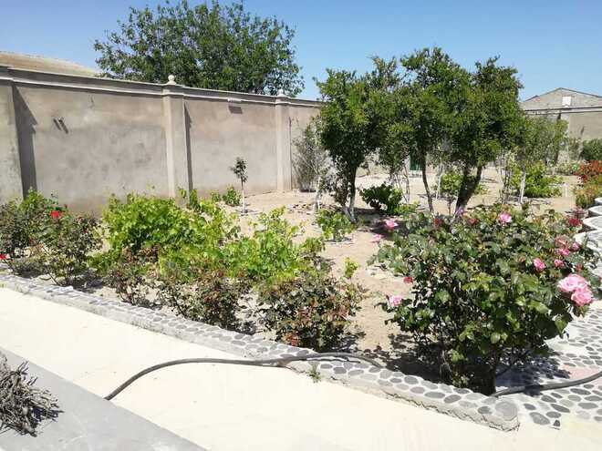 5 otaqlı həyət evi/bağ evi - Maştağa q. - 210 m² (8)
