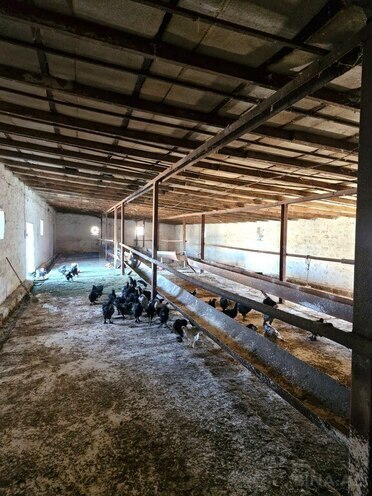 Объект - пос. Бахар - 600 м² (14)