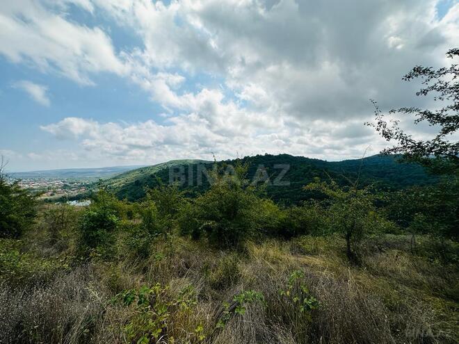 Продаётся  участок 100 сот, photo 18 from 24