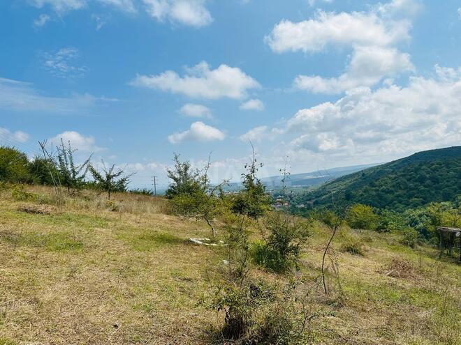 Продаётся  участок 100 сот, photo 11 from 24