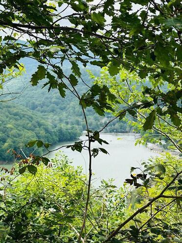 Продаётся  участок 100 сот, photo 16 from 24