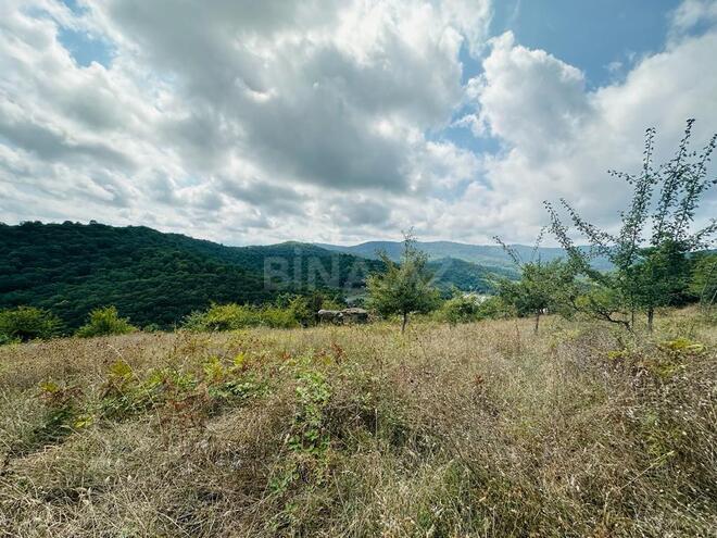 Продаётся  участок 100 сот, photo 9 from 24