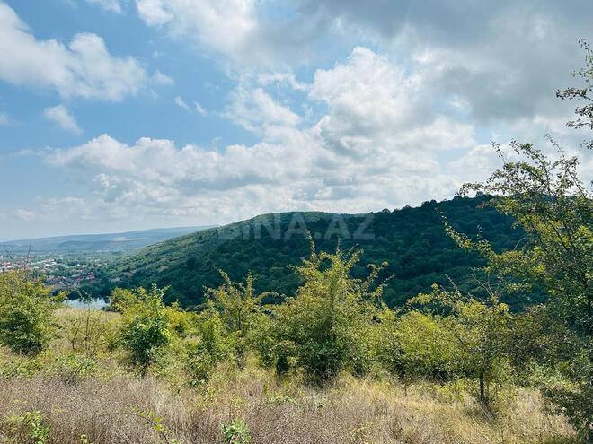 Продаётся  участок 100 сот, photo 20 from 24