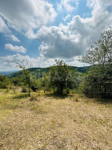 Продаётся  участок 100 сот, photo 21 from 24