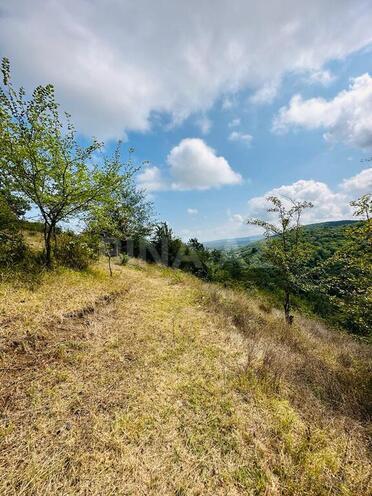 Продаётся  участок 100 сот, photo 13 from 24