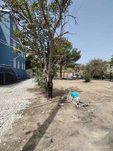 Сдаётся  объект 5 000 м², photo 15 from 30