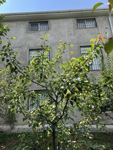8 otaqlı həyət evi/bağ evi - Xızı - 329 m² (30)
