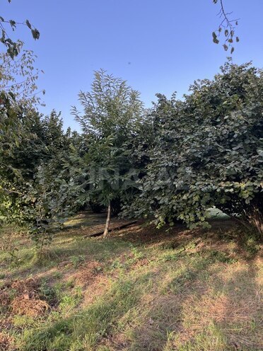 Satılır  torpaq 100 sot, photo 25 from 26