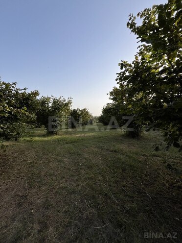 Satılır  torpaq 100 sot, photo 6 from 26