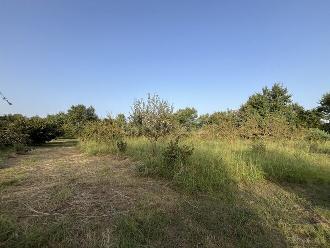 Satılır  torpaq 100 sot, photo 15 from 26