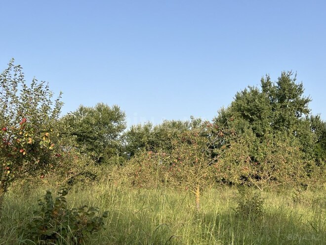 Satılır  torpaq 100 sot, photo 16 from 26