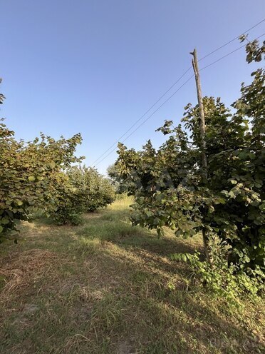 Satılır  torpaq 100 sot, photo 9 from 26