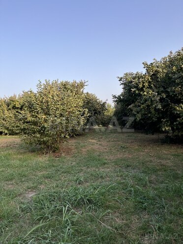 Satılır  torpaq 100 sot, photo 22 from 26